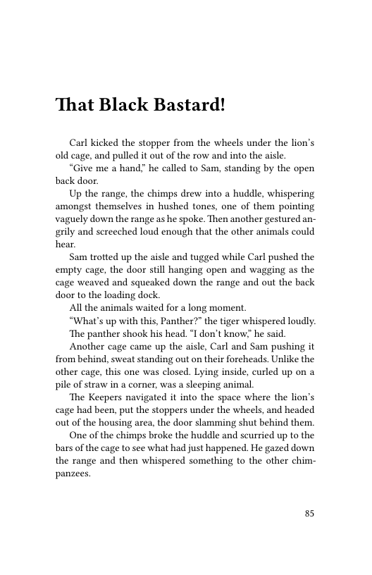 That Black Bastard!  Carl Kicked the stopper from the wheels under the lion’s old cage, and pulled it out of the row and into the aisle.  “Give me a hand.” he called to Sam, standing by the open back door.  Up the range, the chimps drew into a huddle, whispering amongst themselves in hushed tones, one of them pointing vaguely down the range as he spoke. Then another gestured an- grily and screeched loud enough that the other animals could hear.  Sam trotted up the aisle and tugged while Carl pushed the empty cage, the door still hanging open and wagging as the cage weaved and squeaked down the range and out the back door to the loading dock.  Al the animals waited for a long moment  “What’s up with this, Panther?” the tiger whispered loudly.  ‘The panther shook his head. “I don’t know?” he said.  Another cage came up the aisle, Carl and Sam pushing it from behind, sweat standing out on their foreheads. Unlike the other cage, this one was closed. Lying inside, curled up on a pile of straw in a corner, was a sleeping animal.  ‘The Keepers navigated it into the space where the lion’s cage had been, put the stoppers under the wheels, and headed out of the housing area, the door slamming shut behind them.  One of the chimps broke the huddle and scurried up to the bars of the cage to see what had just happened. He gazed down the range and then whispered something to the other chim- panzees.  8 